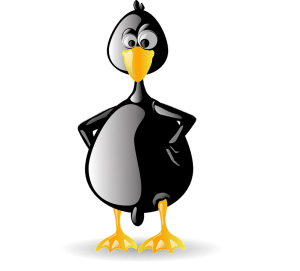 Marketing agency Calgary