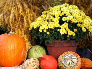 Thanksgiving Marketing Ideas